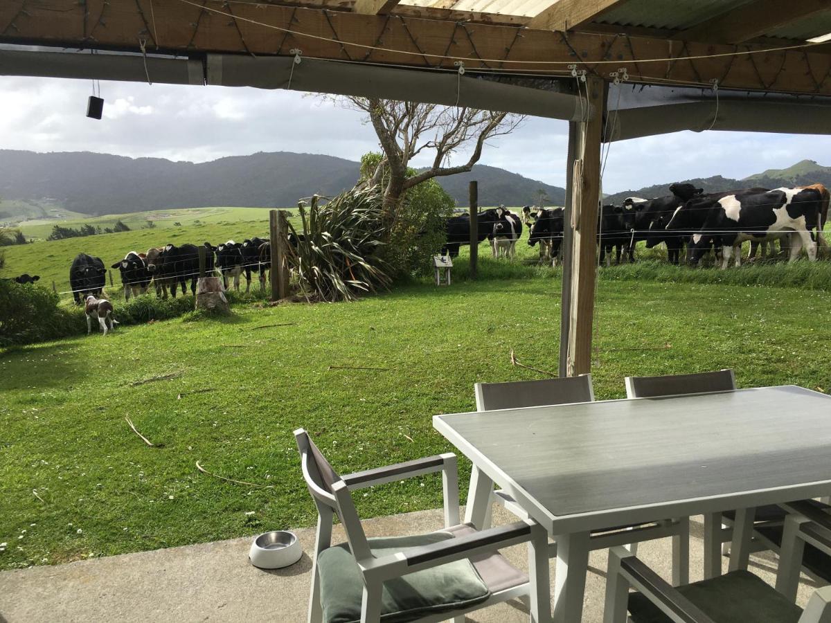 Chalet Cullen, Mangawhai Esterno foto